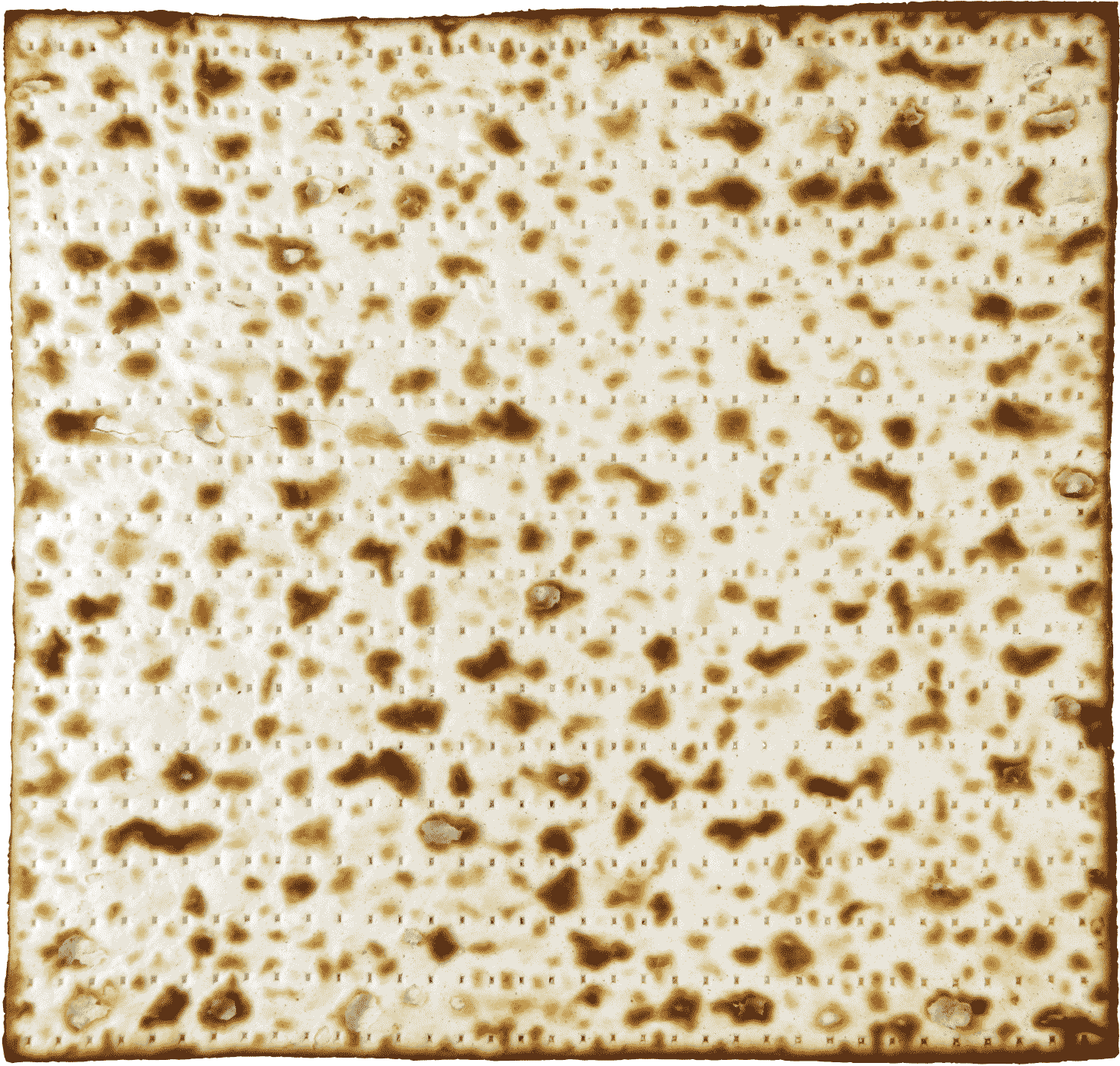 A Passover illustration