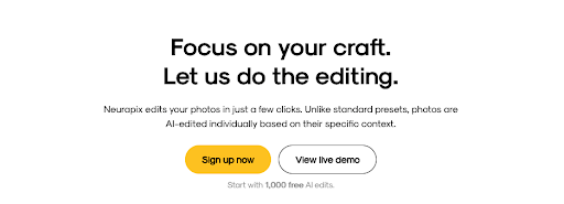 Neurapix homepage hero section